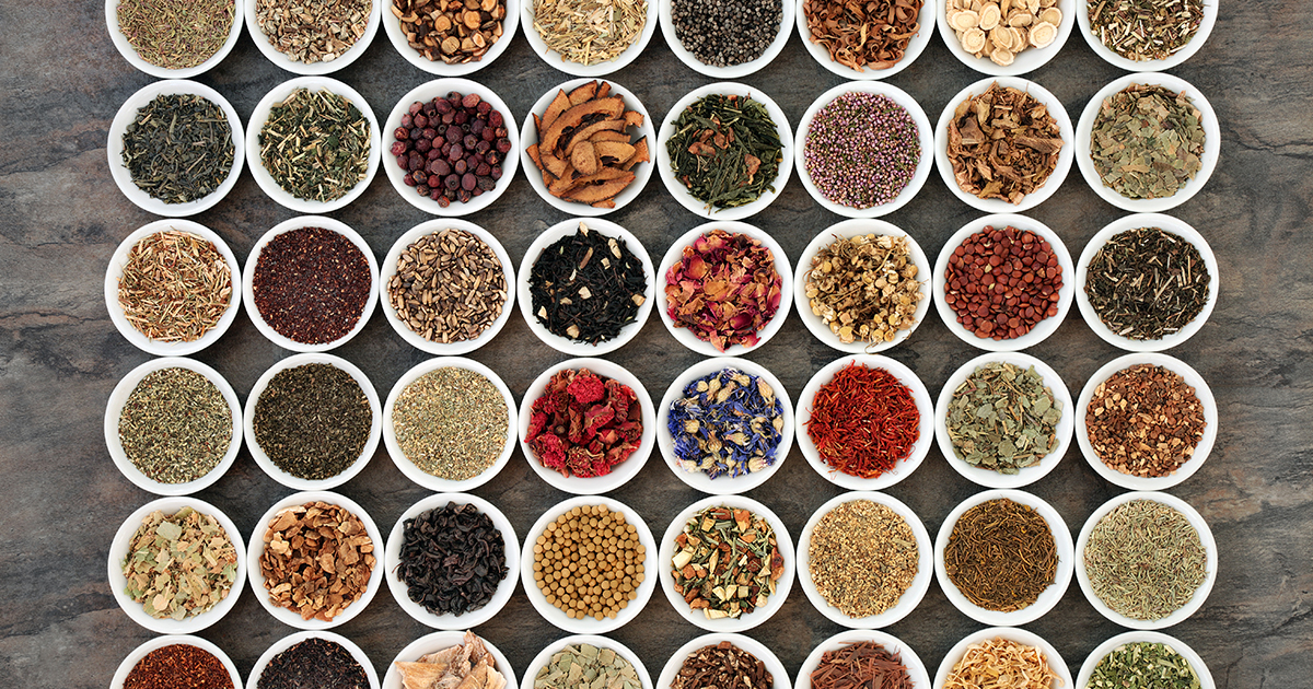 A Holistic Approach to Kidney Health: Insight from Japanese Traditional Medicine