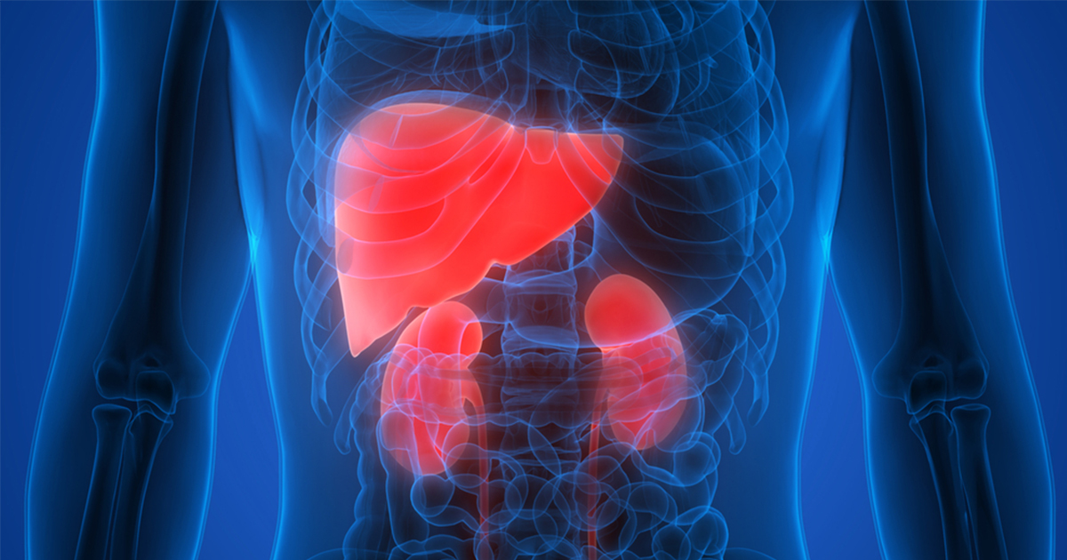 肝腎為首 排毒關鍵之道