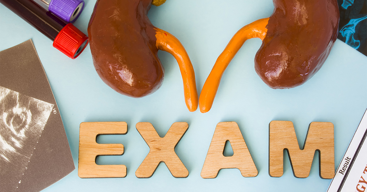 腎功能檢查完全解碼