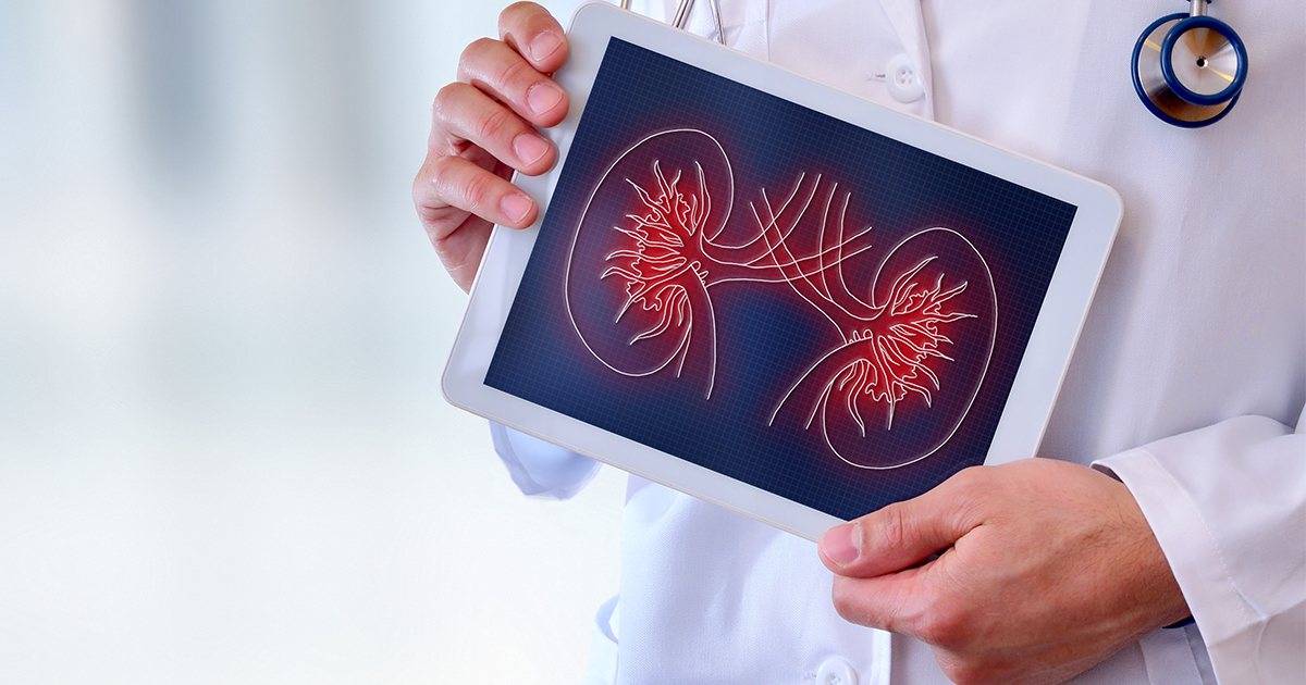 Slowing the Pace: Slowing Down Chronic Kidney Problem Progression