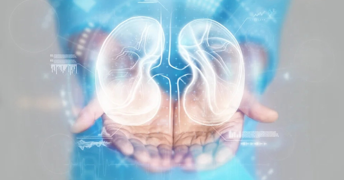 How AI is Transforming the Future of Kidney Care