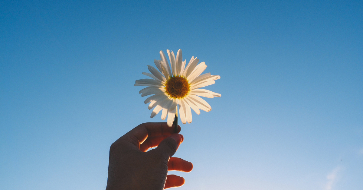 The Kidney’s Role in Your Sunshine Vitamin