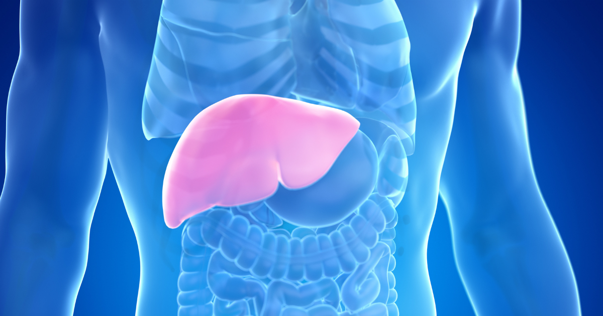 From Detox to Balance: The Hidden Link Between Liver and Kidney Health