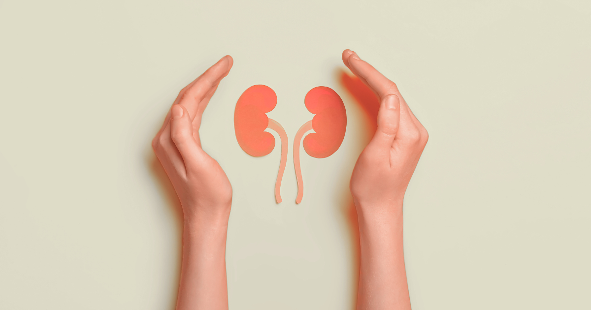 Do Kidneys Have the Power to Heal Themselves?