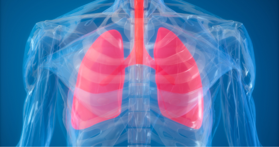 【肺腎同源】經常傷風感冒 可能是腎虛作怪！