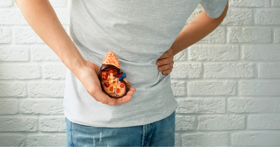 40-Year-Old’s Kidneys Aged to 60 Due to This Daily Diet!