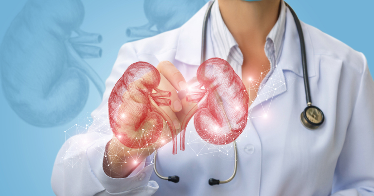 Key of Anti-Aging: Kidney Protection